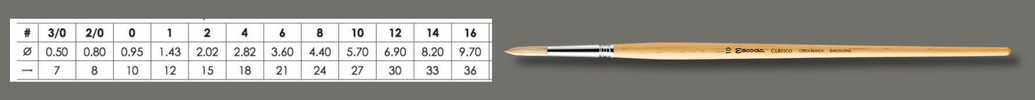 clasico 5131+_1